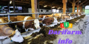 dari farm info